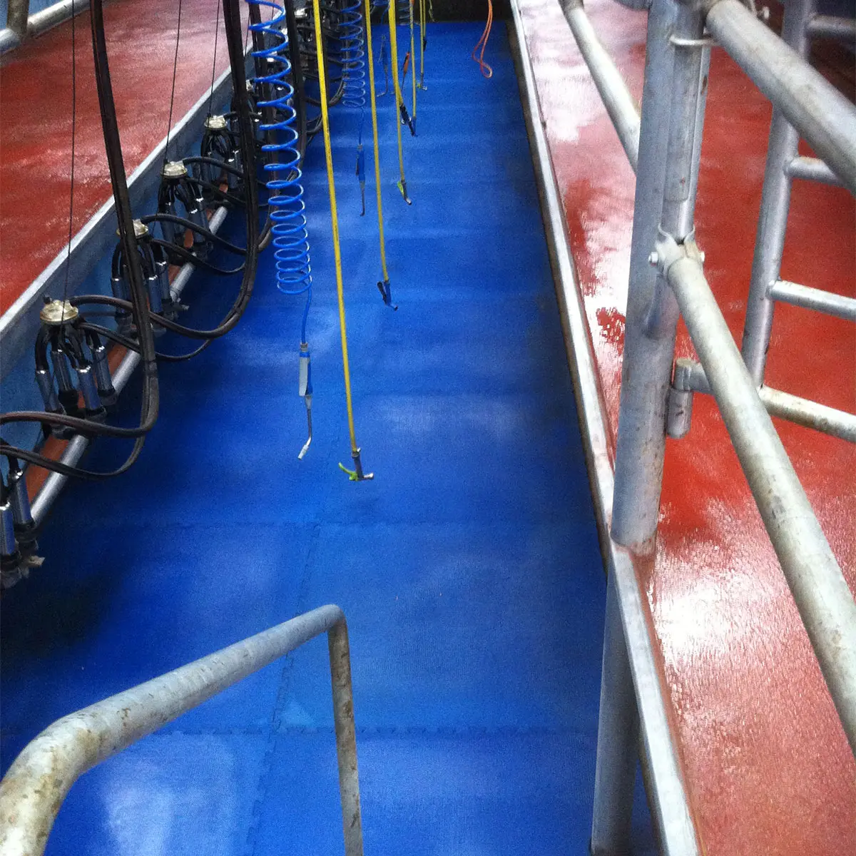 1mx1m Royal Blue Parlour