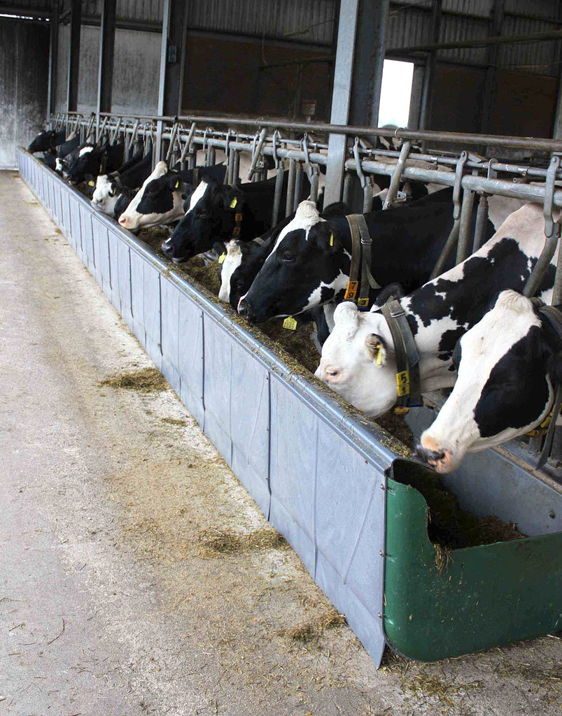 Plastic Feed-Wall 