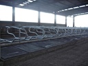 Animal Comfort Mats 3'9" Nb