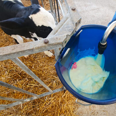 Calf Buddy 1 - 9L (CB1)