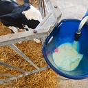 Calf Buddy 1 - 9L (CB1)