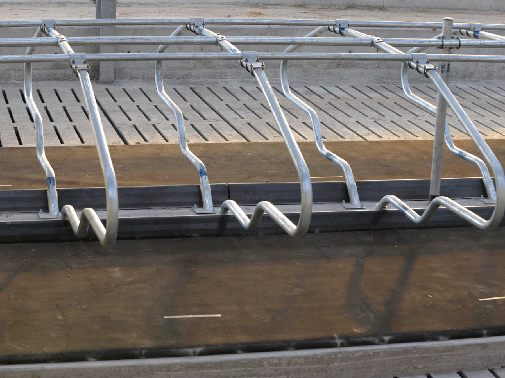 4ft/1.2M Brisket Board