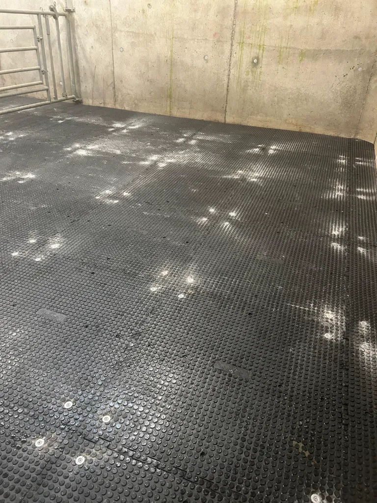 High Grip Meter 1.webp