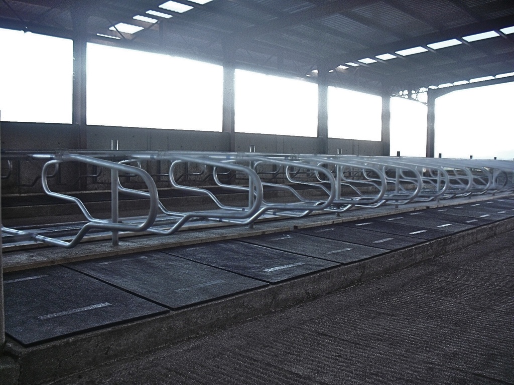 Dpak 2030 3'9'' X 6' X 20-22Mm Hd