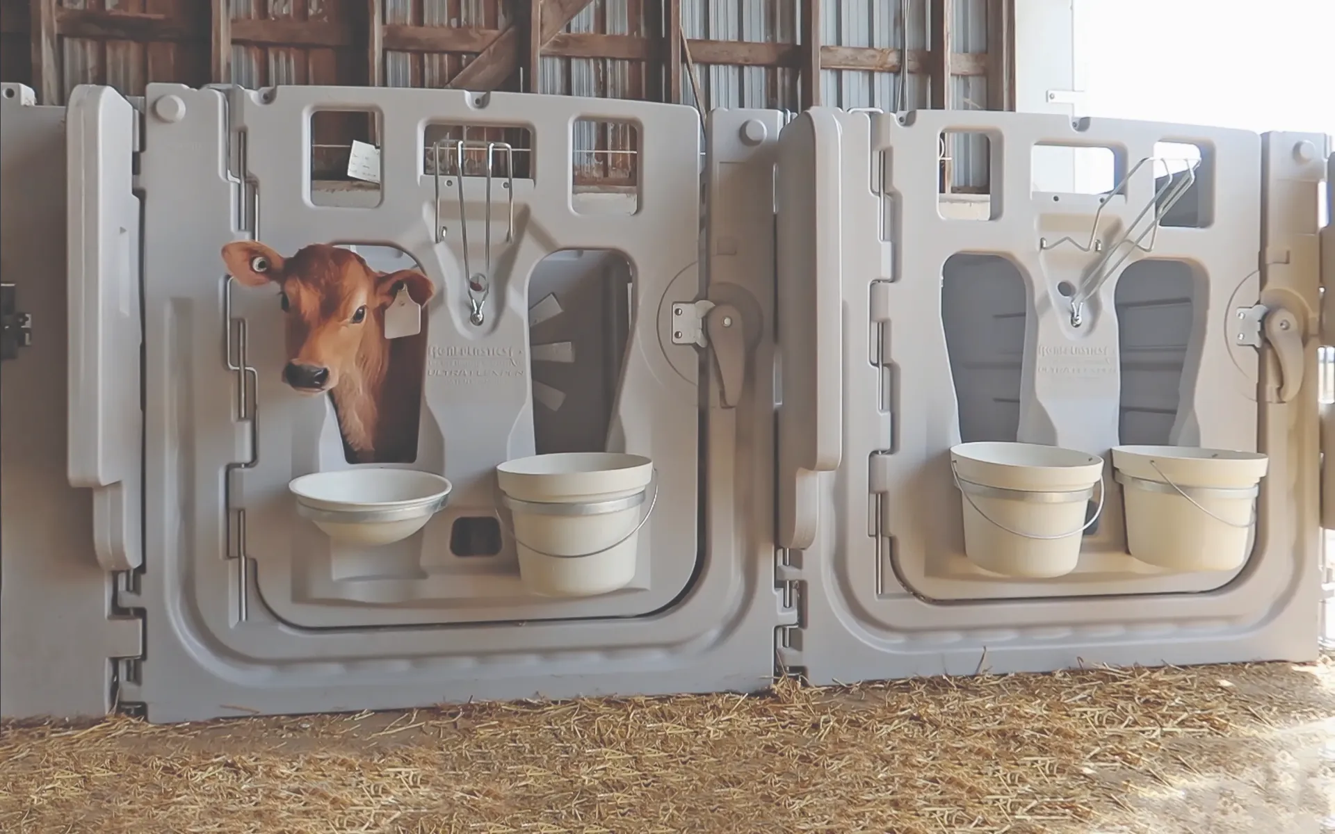 [AGRI-7106WS] Ultraflex 6 Ft Starter Pen (Wall Mounted)