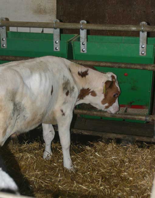 [OKP-444] Calf Creep Feeder 60LT