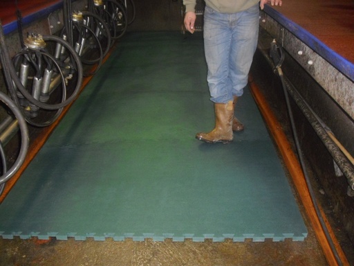 [DPK-228B] 2/4 Sided Green Interlocking Mat